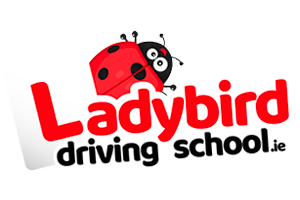 Logo Ladybird Driving School